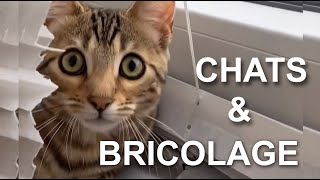 CHATS amp BRICOLAGE [upl. by Coray448]