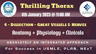 4  Dissection  Great Vessels Aorta Pulmonary Trunk Vena Cavae amp Nerves Phrenic amp Vagus [upl. by Ostap]