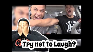 Hodgetwins Funniest Moments 2017  12  REACTION  TRY NOT TO LAUGH [upl. by Llerryt]