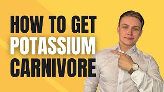 How to Get Enough POTASSIUM on the CARNIVORE DIET [upl. by Yentterb746]