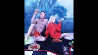 Die Antwoord Scopie No Means Yes Remix [upl. by Anawit]