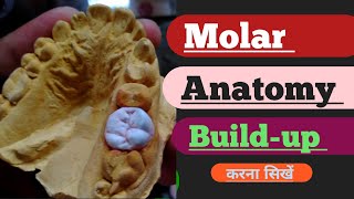 Upper Molar Anatomy Porcelain Technique Ceramic build up video posterior Anatomy Anterior  lab [upl. by Gaddi152]