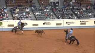 2009 AQHA WORLD SHOW  HESA BUSY DOC [upl. by Lowson101]