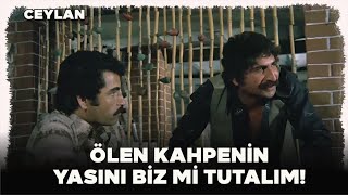 Ceylan Türk Filmi  İbrahimi Çıldırtan Sözler [upl. by Eatnom]