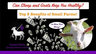 Most of You Will Lose Money Part 2 Better Than Money 5 Reasons to Start Your Small Farm Today [upl. by Hughes767]