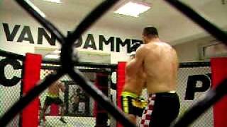 Cro Cop last sparing before Mir  part 1 [upl. by Aerdnad]