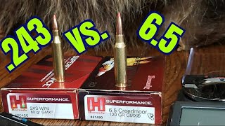 65 Creedmoor vs 243 Winchester [upl. by Notelrahc]