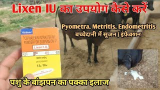 Lixen IU का उपयोग गायभैंसों में कैसे उपयोग करें Metritis Endometritis Pyometra Repeat Breeding [upl. by Enilesoj253]