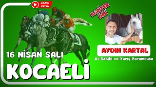 KOCAELİ  Canlı Yayın  Bariyer Dibi  16 Nisan 2024 Salı [upl. by Daffy]