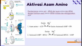 Proses Katabolisme dan Anabolisme pada Protein [upl. by Darla]