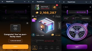 HashCats  New Feature Helps You Earn More HASH Coins Faster  Come Join Me  Telegram Crypto Bot [upl. by Eerbua]