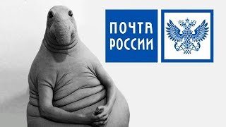 Как пожаловаться на Почту России [upl. by Oinegue936]