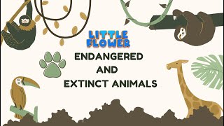 Amazing Animals Exploring Endangered and Extinct Species for Kids [upl. by Reichel]