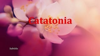 Psychiatry Lecture Catatonia [upl. by Ayotna]