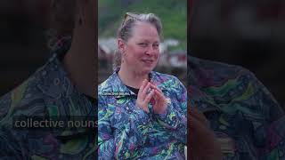 Rapid Fire Questions with Kelly CourseyGray  Lindblad Expeditions [upl. by Bunker849]