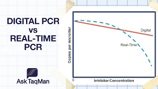 Digital PCR vs Realtime PCR  Ask TaqMan 30 [upl. by Rednirah771]