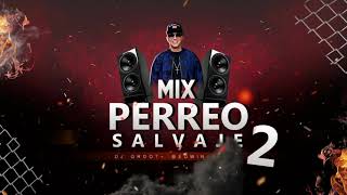 Mix Perreo Salvaje 2  OldSchool🔥 Mix Reggaeton Antiguo  DJGROOTEdwinAliaga [upl. by Akimaj858]