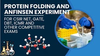 Protein folding and anfinsen experiment youtube science msc ncert jrf bsc yt [upl. by Haiasi]