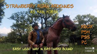 RDR2  Get Strawberry Roan as Main Horse from Beginning Legit Way  PS4PS5PC Still Worked 2024 [upl. by Ayim]