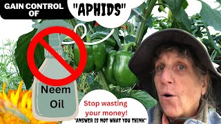 quotStop using Neemquot to control Aphids The aphid is a messenger [upl. by Kehoe]