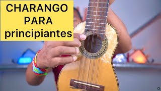 CON QUE CHARANGO APRENDER A TOCAR  ELEJIR UN CHARANGO PARA APRENDER A TOCAR RAPIDO Y FACIL [upl. by Erickson529]