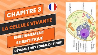 chapitre 3  une structure complexe  la cellule vivante [upl. by Tnaryb]