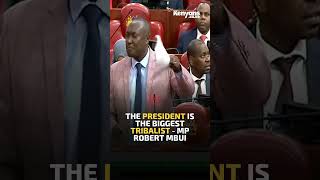 The President is the biggest tribalist  MP Robert Mbui [upl. by Omlesna]