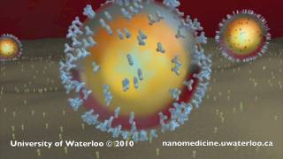 Nanotechnology for Targeted Cancer Therapy [upl. by Siusan]