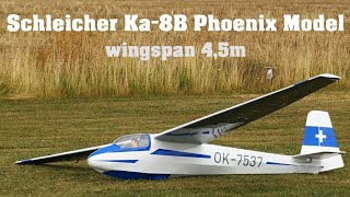 Schleicher Ka8B Phoenix Model 45m  scale RC glider  4K  Rokytnice 2023 [upl. by Oswell]