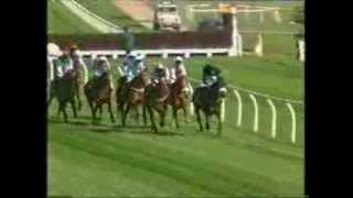 1998 Bonusprint Stayers Hurdle [upl. by Ardnajela427]