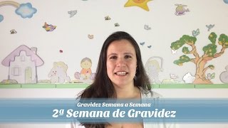 2ª Semana de gravidez [upl. by Kaye188]