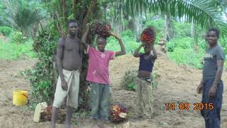 Lancement de lObservatoire du Marché Carbone en RDC  OMC RDC [upl. by Steinberg]