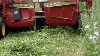 Cutting Hay with New New Holland 1411 Discbine [upl. by Haropizt]