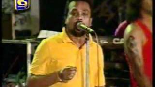 wimal weerawansa song flash bak samaga [upl. by Agostino225]