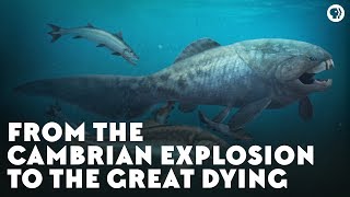 From the Cambrian Explosion to the Great Dying [upl. by Kotta]