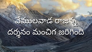 వేములవాడ దర్శనం బాగా జరిగింది autism vlog vemulawada temple lordshiva [upl. by Nylqcaj782]