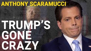 Anthony Scaramucci Trump is broke and might need a lobotomy [upl. by Marsh551]