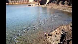 The biggest school of snapper ive seen in whyalla [upl. by Tanhya573]