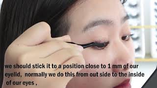 DIY LASHESSegmented Lashes [upl. by Ahseekal]