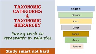 Taxonomic Categories  Taxonomic hierarchy [upl. by Salter]