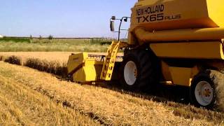 New Holland TX 65 Plus Sound [upl. by Iline]