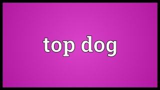 Top dog Meaning [upl. by Natloz]