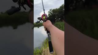 DAIWA TATULA TYPER daiwatatula mancing fishing casting [upl. by Mika241]