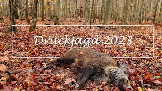 Drückjagd 2023 Wild boar driven hunt 2023 [upl. by Minta]