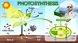 Photosynthesis What is photosynthesis [upl. by Ytineres773]