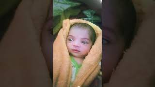 Kitna pyara hai ye chehra trending viralvideo cute cutebaby Iqra naaz 💌 cute baby 🍼🥰🐥❤️shots 💚 [upl. by Ailedo]