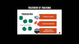 Treatment of trachoma trachomatis trachoma infection pharmacology [upl. by Earased]