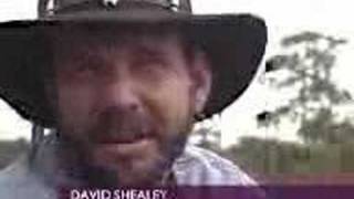 The Skunk Ape  GENUINE FOOTAGE OF THE quotFLORIDA BIGFOOTquot [upl. by Arrol834]