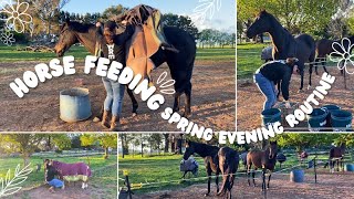 Horse Feeding Spring Evening Routine  Feed My Horse With Me  What To Feed An Exracehorse [upl. by Bruno]