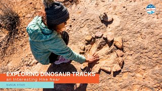 Exploring Dinosaur Tracks an Interesting Hike Near Kanab UT [upl. by Misa]